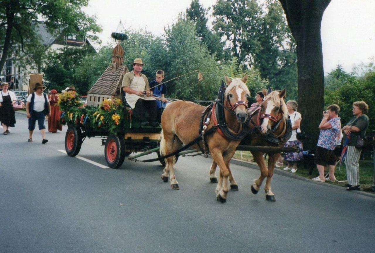 Hotel Carola Olbernhau Zewnętrze zdjęcie